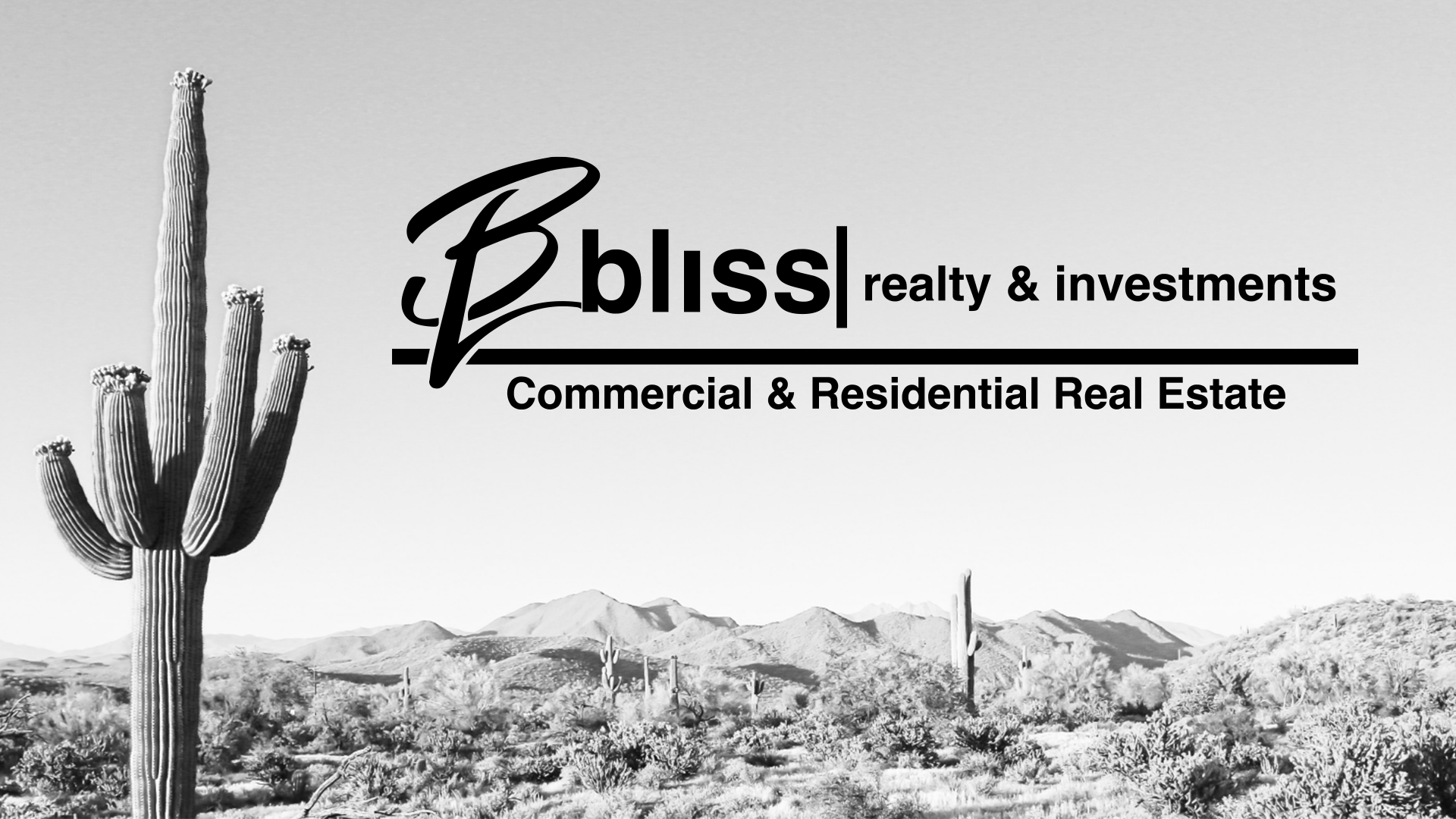 Bliss Realty & Investments
